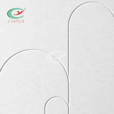 La parete ritenuta dell'interno scolpita riveste il bene durevole di pannelli leggero di assorbimento acustico