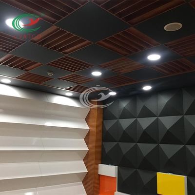 Insonorizzato pratico di progettazione acustica di architettura dello studio di registrazione